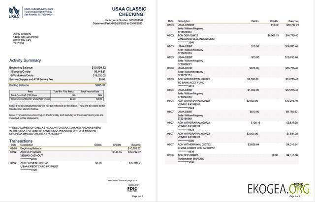Modèle Word et PDF de relevé de la Banque fédérale d'épargne de l'USAA, 2 pages